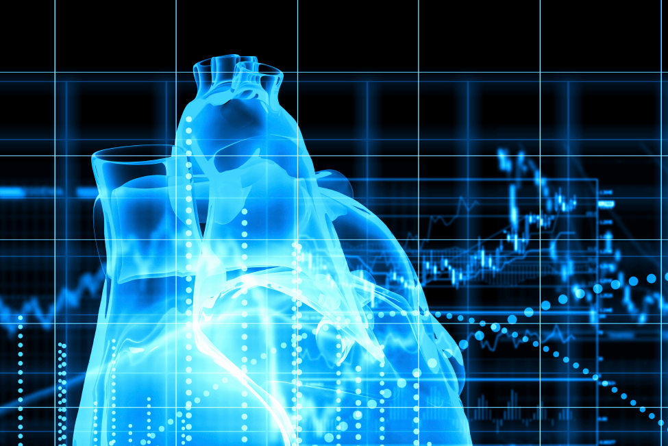 A digital image of a heart
