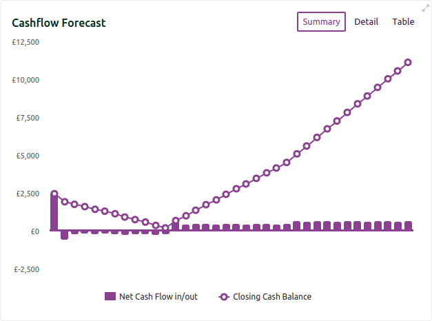 A cash flow foreast summary chart created by Finanscapes