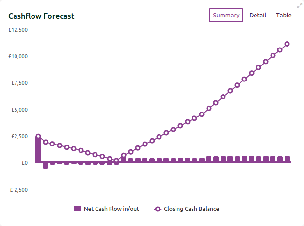 A cash flow summary chart in Finanscapes